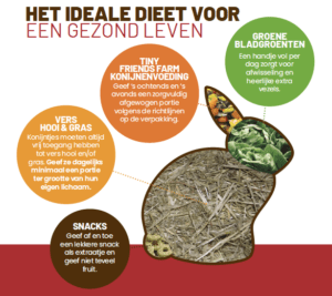 Tasty-Mix-Feeding-Graphic-Dutch