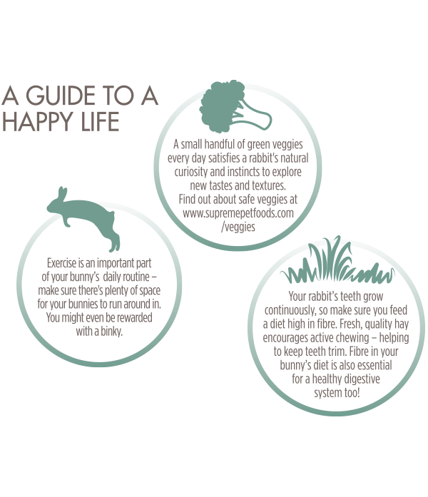 Happy-Life--Guide-Grain-Free-Rabbit-Food