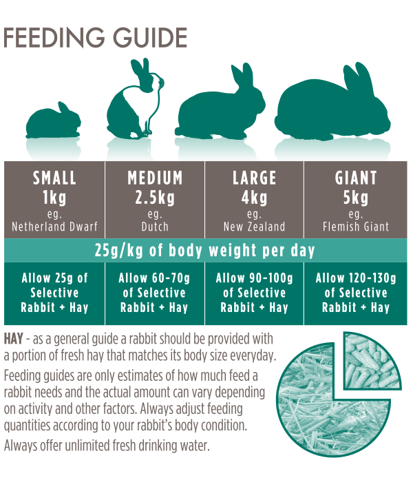 Mature-4+-Rabbit-Feeding-Guide