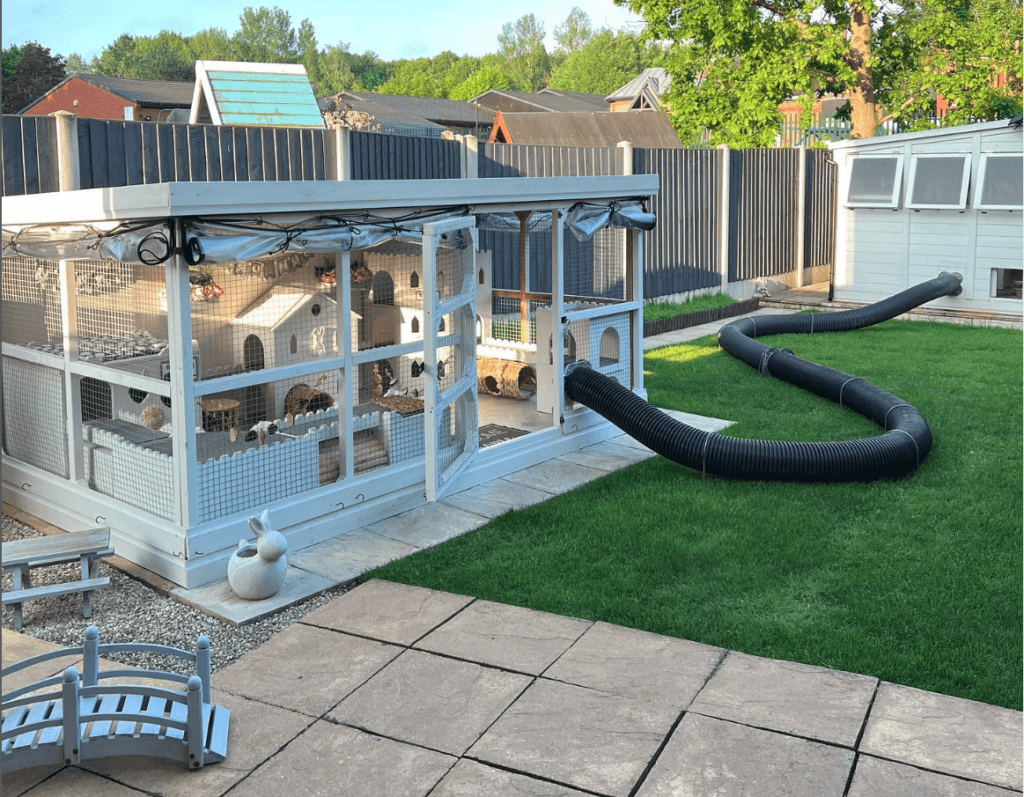 Door Rabits Beyond the hutch: top 3 tips for outdoor enclosures for happy rabbits ...